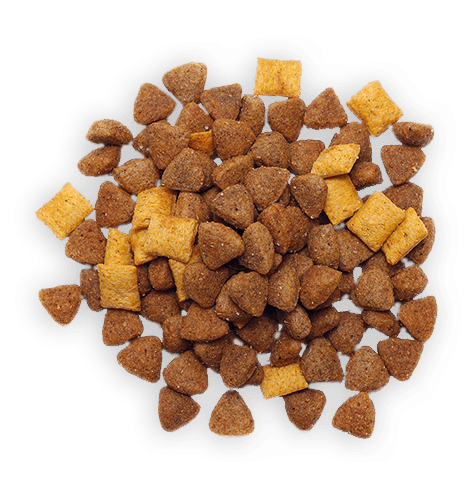 Dog food food-transparent-18